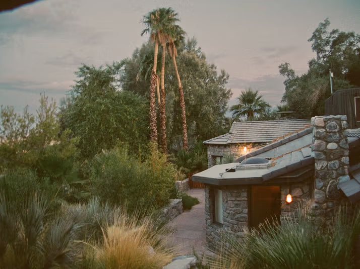 Two Bunch Palms